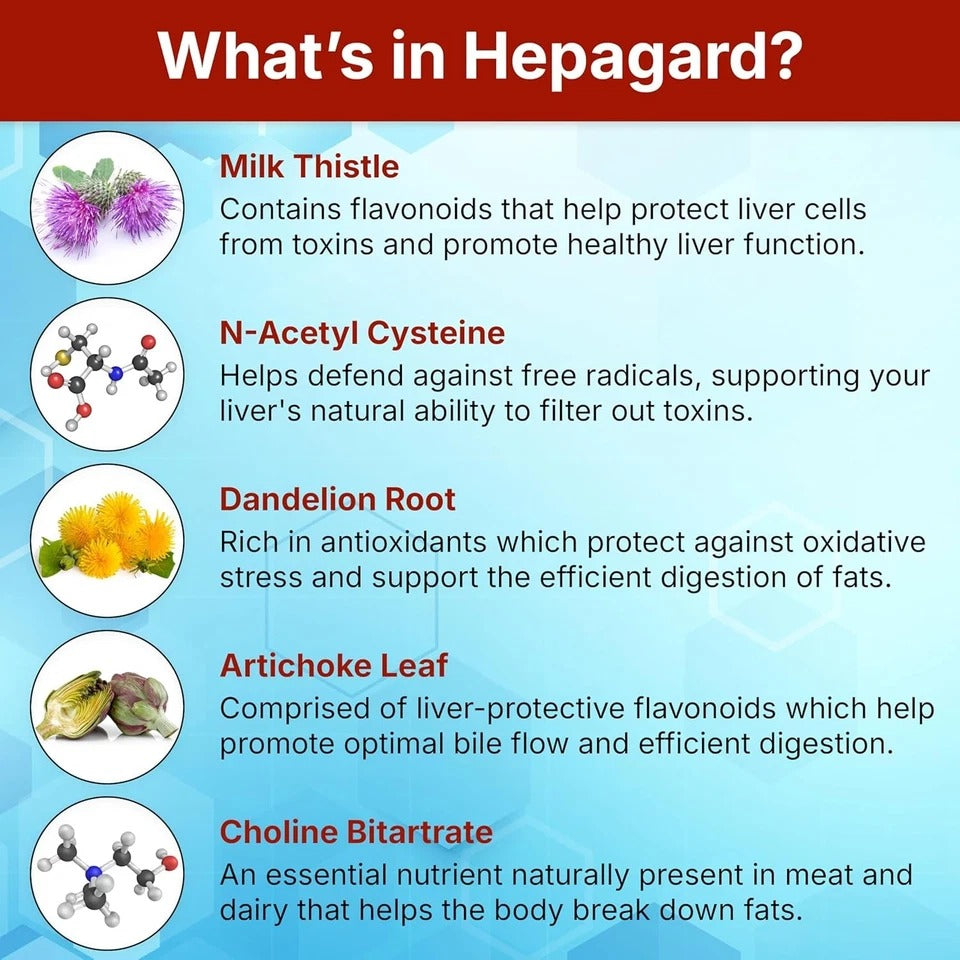 Hepagard Natural Liver Support Supplement with N-Acetyl Cysteine